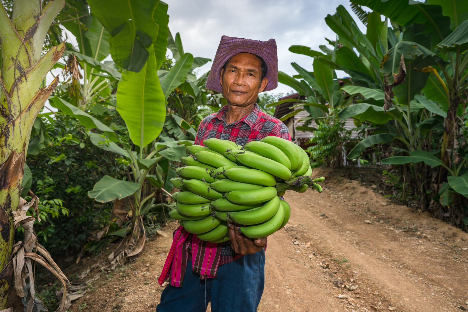 Colombia rural Colombia rural