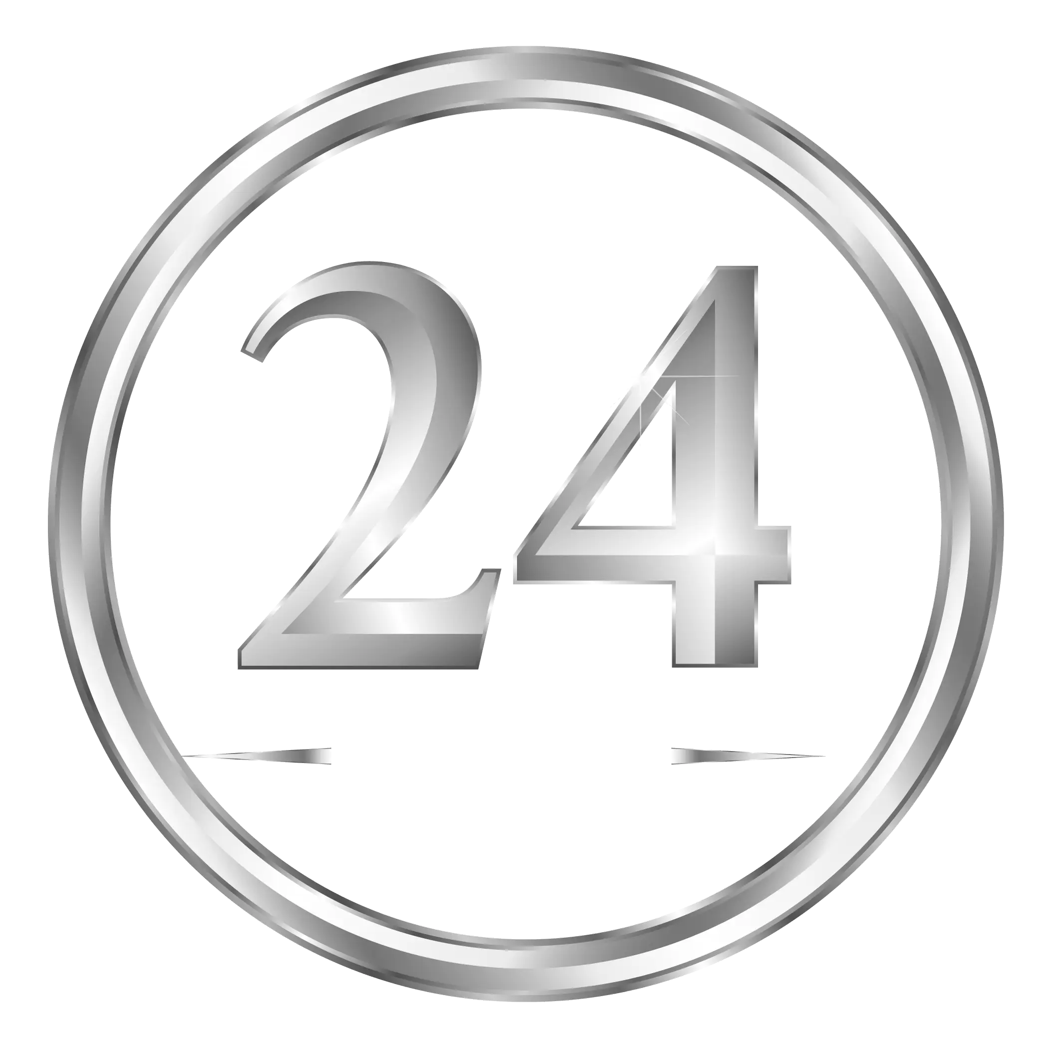 24 a&ntilde;os de experiencia TeamAssist